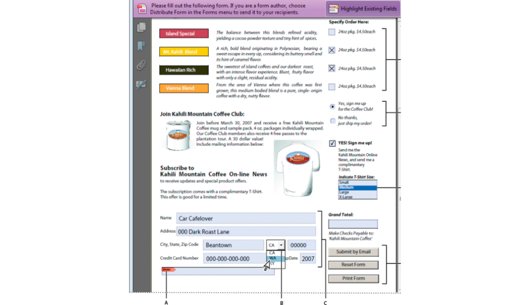 Adobe- Pdf Fillable Form